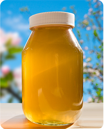 Image of Ela Orchard Honey